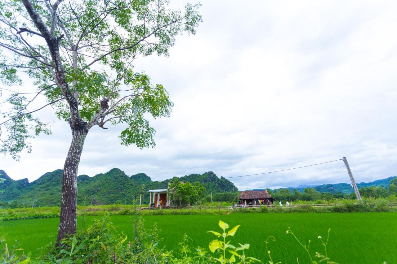 Pomelo Homestay Фонгня Экстерьер фото